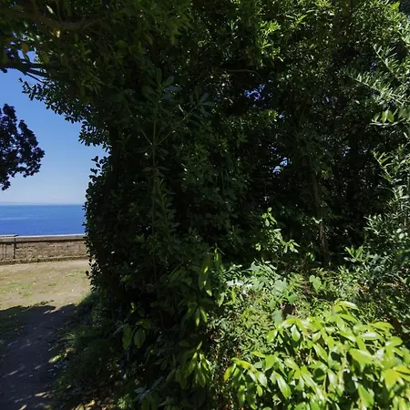 Villa Preziosa Al Pizzo 3 Km Da Sorrento Sant'Agnello Exterior foto