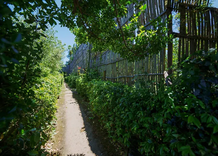 Villa Preziosa Al Pizzo 3 Km Da Sorrento