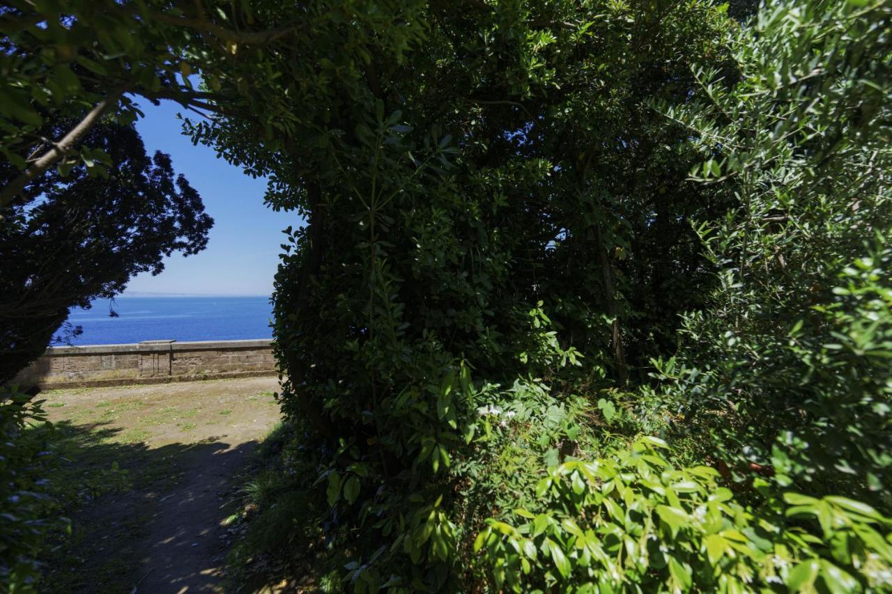 Preziosa Al Pizzo 3 Km Da Sorrento Apartamento *