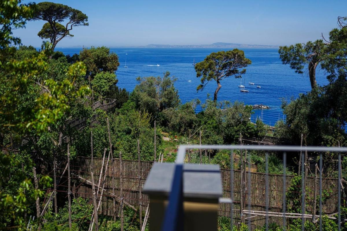 Apartamento Preziosa Al Pizzo 3 Km Da Sorrento