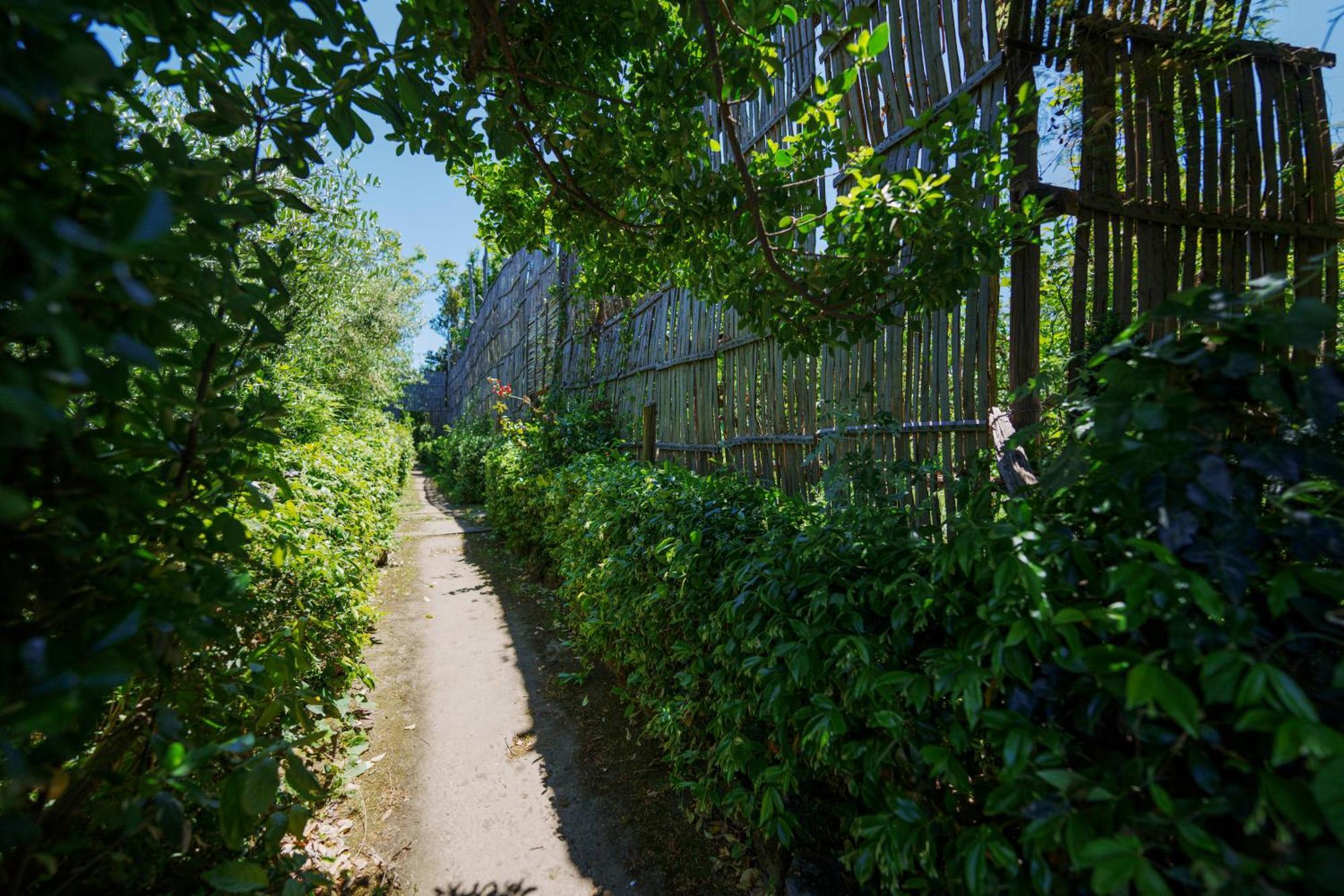 Apartamento Preziosa Al Pizzo 3 Km Da Sorrento